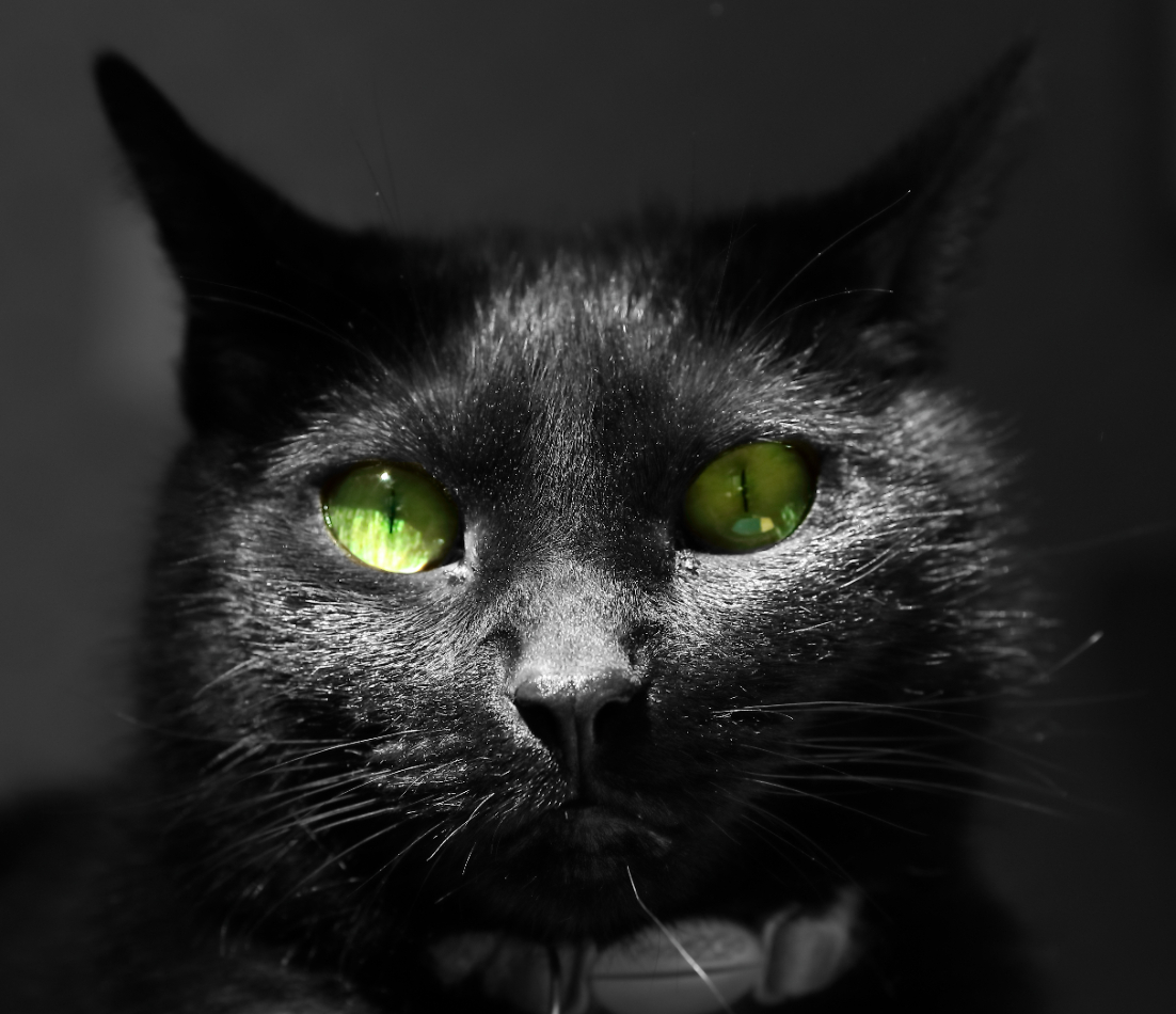 2022 04 02 HTP 50044ebw 1 eyes